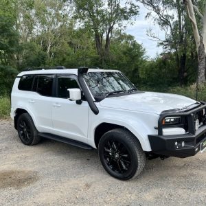 250 Series Prado 4″ RAM Head Stainless Snorkel
